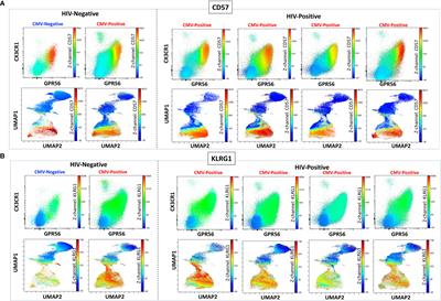 CD4+ T cells expressing CX3CR1, GPR56, with variable CD57 are associated with cardiometabolic diseases in persons with HIV
